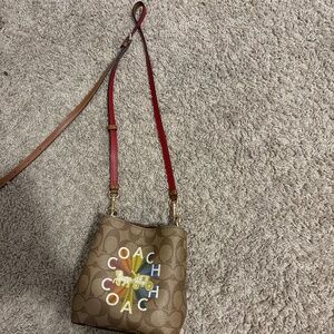 Brown Rainbow coach bag